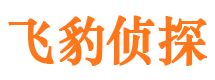 承德外遇调查取证